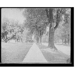 Historic Print, Upper James Street, Syracuse, N.Y., 18" x 24"