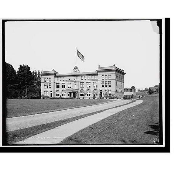 Historic Print, Veterinary College, Cornell University, 16" x 20"
