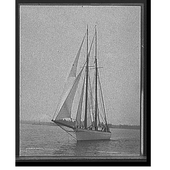 Historic Print, Viator, 16" x 20"