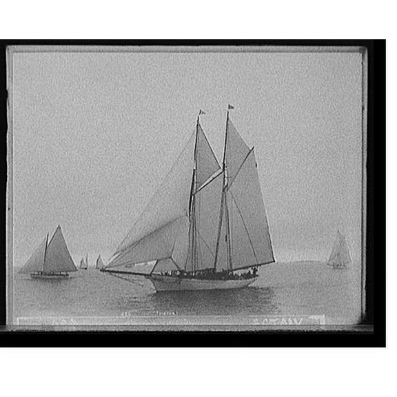 Historic Print, Viator - 2, 16" x 20"