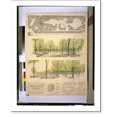thumbnail image 1 of Historic Print, [Vietnam Veterans Memorial, Constitution Avenue and Henry Bacon Drive, N.W., Washington, D.C. Site plan, plan, perspective, and detail], 18" x 24", 1 of 3