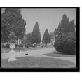 Historic Print, [View in National Cemetery, Arlington, Va.], 16" x 20