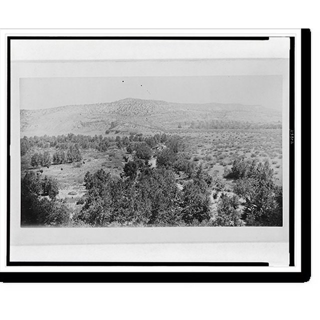 Historic Print, View of Beaver Creek from the upper gallery of Montezuma's Castle, 16" x 20