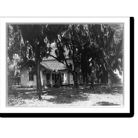 Historic Print, View of Comte De Tallyrand Villa from St. Johns River, Florida, 16" x 20"
