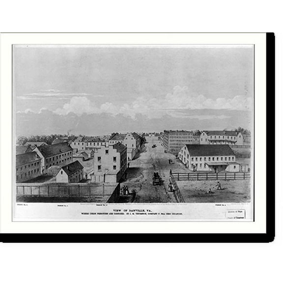 Historic Print, View of Danville, Va., 18" x 24"