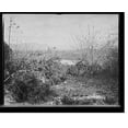 thumbnail image 1 of Historic Print, [View towards position of American forces from San Juan Hill, Santiago de Cuba, Cuba], 16" x 20", 1 of 3
