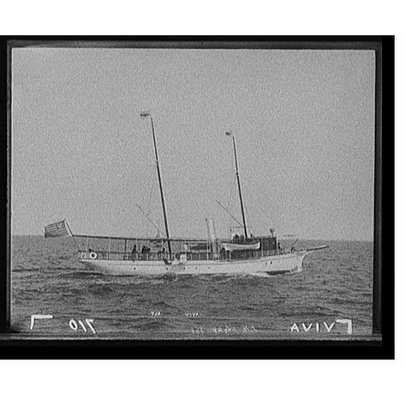 Historic Print, Viva, 16" x 20"
