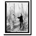 thumbnail image 1 of Historic Print, W.B. Greeley, Chief Forest Service, 16" x 20", 1 of 3
