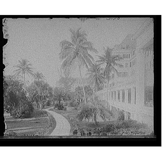 Historic Print, [W. Palm Beach, Fla., north from the colonnade, Royal Poinciana], 16" x 20"