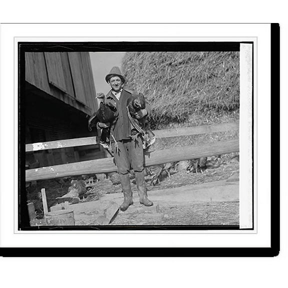 Historic Print, W.S. Day of Greenwood Farm, Dawsonville, Md., 11/13/25, 16" x 20"