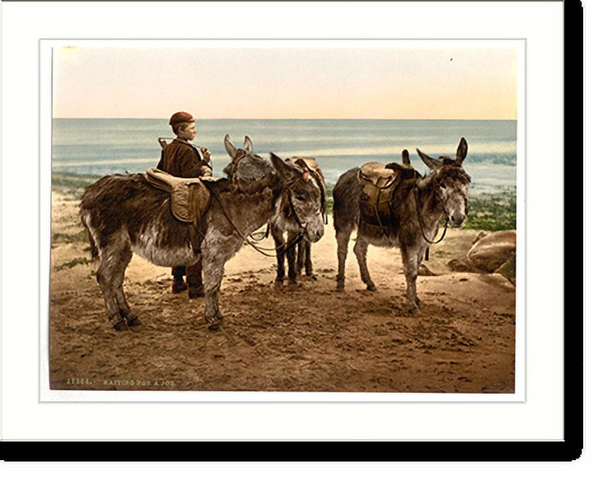 Historic Print, Waiting for a job (donkeys) England, 16" x 20