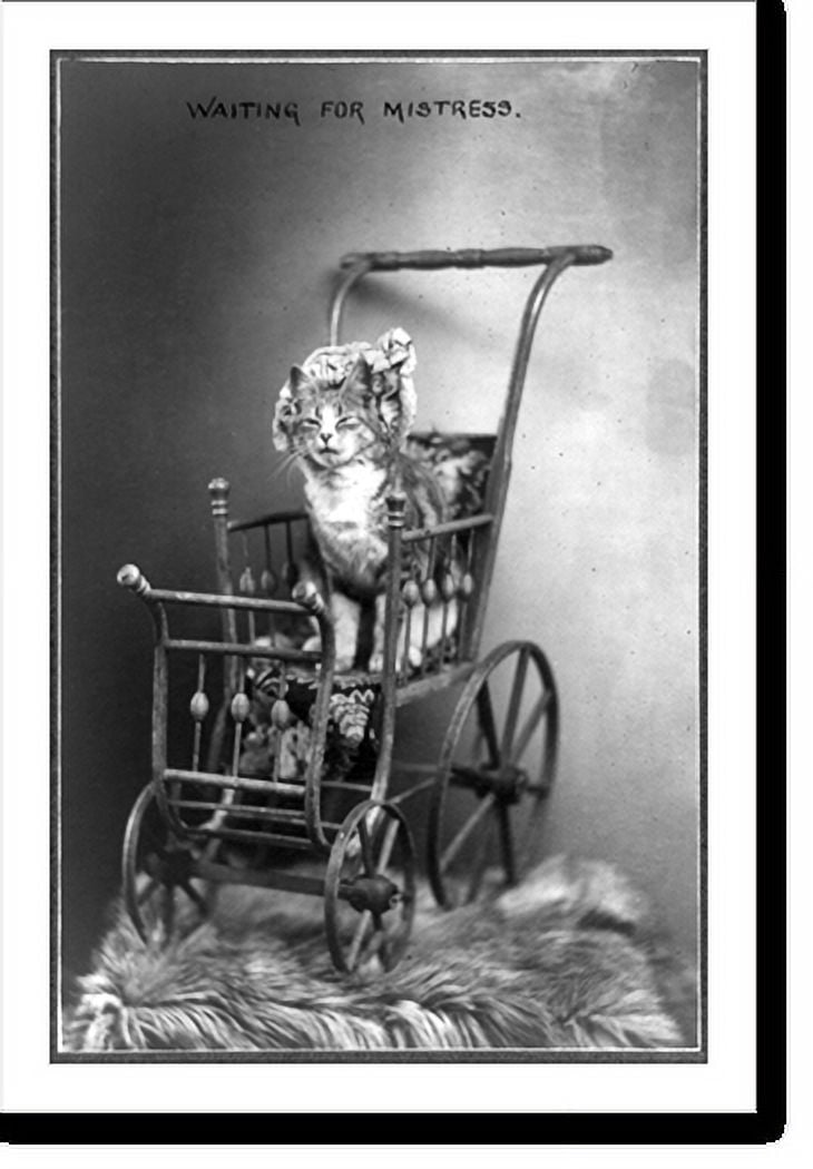 Historic Print, Waiting for mistress, 16" x 20"