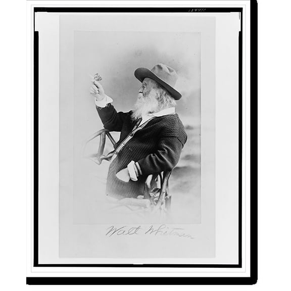 Historic Print, [Walt Whitman, half-length portrait, seated, facing left, wearing hat and sweater, holding butterfly] - 4, 16" x 20"