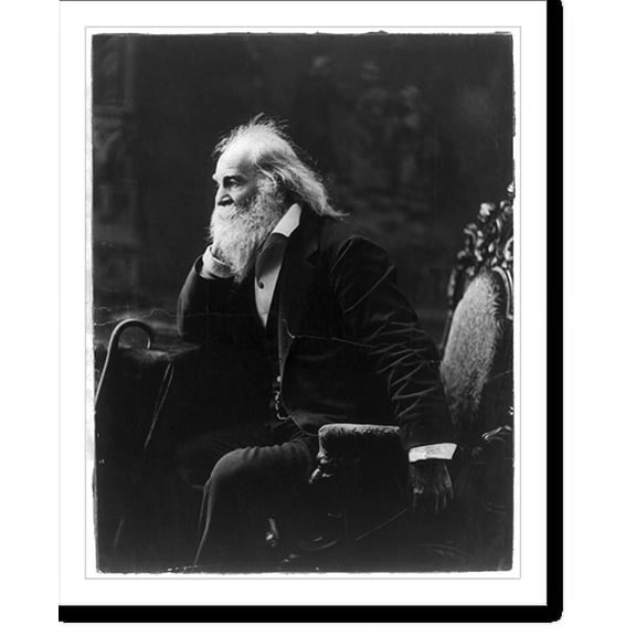 Historic Print, [Walt Whitman, three-quarter-length portrait, seated, facing left with elbow and nearby cane resting on a table] - 2, 16" x 20"