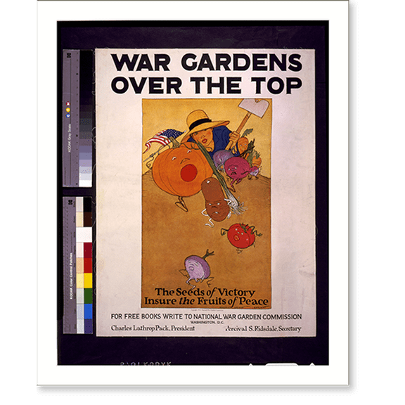 Historic Print, War gardens over the top. The seeds of victory insure the fruits of peace.Maginel Wright Enright., 18" x 24"