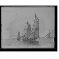 thumbnail image 1 of Historic Print, Wasp, [and] Carmita, 16" x 20", 1 of 3