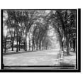 thumbnail image 1 of Historic Print, West Genesee Street, Syracuse University, 18" x 24", 1 of 3