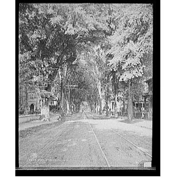 Historic Print, West Street, Keene, N.H., 18" x 24"