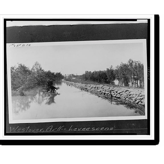 Historic Print, Westover, Ark., levee scene, 18" x 24"