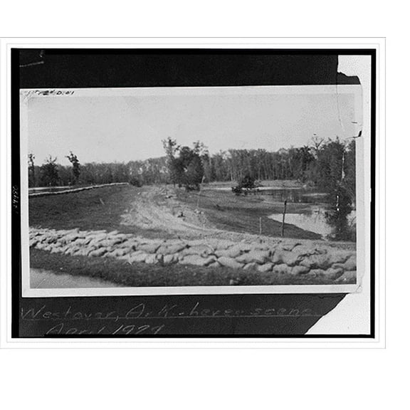 Historic Print, Westover, Ark., levee scene - 2, 16" x 20"