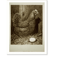 thumbnail image 1 of Historic Print, Which came first?, 18" x 24", 1 of 3