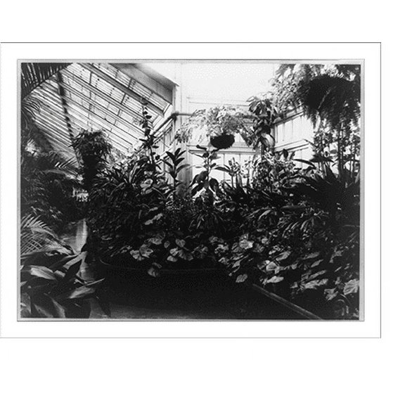 Historic Print, White House, Conservatory, 18" x 24"