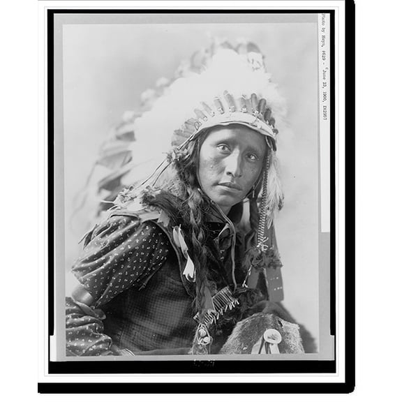 Historic Print, [White War Bonnet, head-and-shoulders portrait, facing right], 18" x 24"