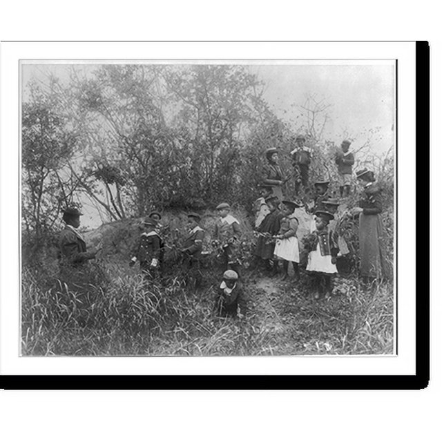 Historic Print, [Whittier School students on a field trip studying plants, Hampton, Virginia