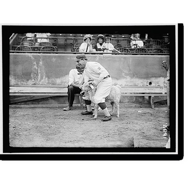 Historic Print, [William Germany" Schaefer, Washington AL (baseball