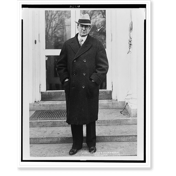 Historic Print, [William N. Doak, full-length portrait, standing on steps of White House, facing front], 16" x 20"