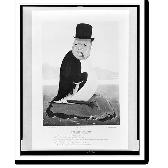Historic Print, Winston Churchill (befriendus leaselendus), 18" x 24"