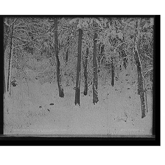 Historic Print, Winter scene near Mount Pleasant House, White Mountains, 16" x 20"