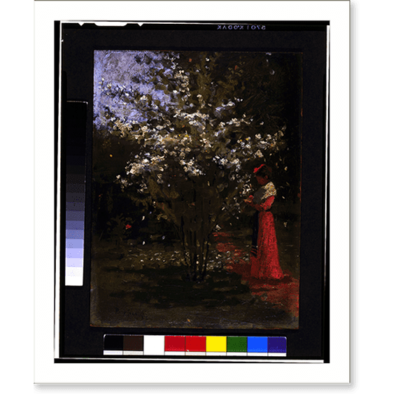 Historic Print, [Woman standing by flowering tree].Percy Ives., 18" x 24"