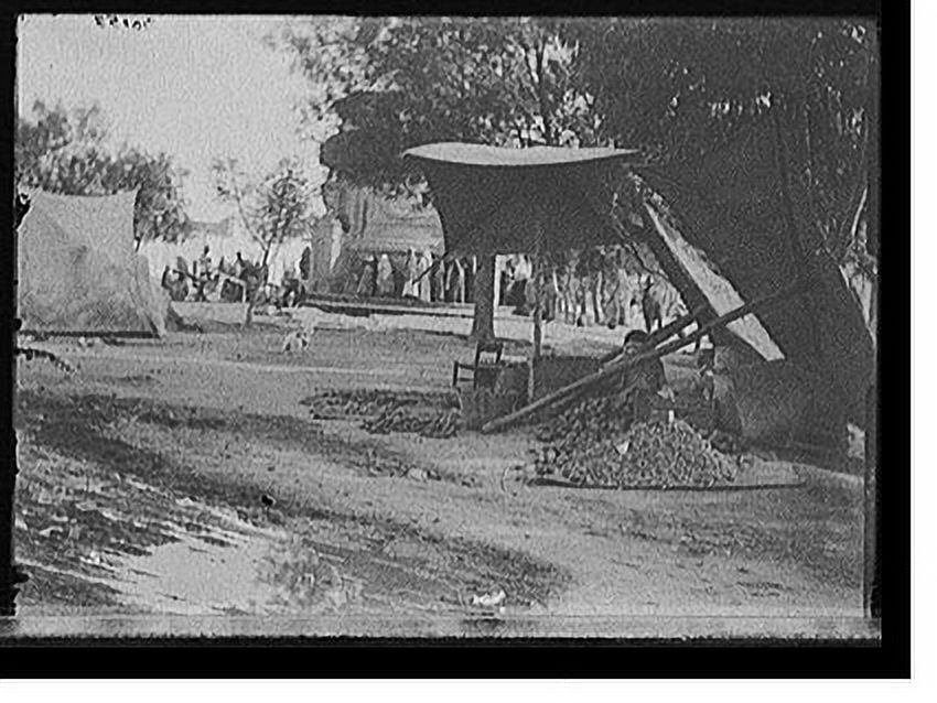 Historic Print, [Woman with vegetables and fruit under leanto in plaza
