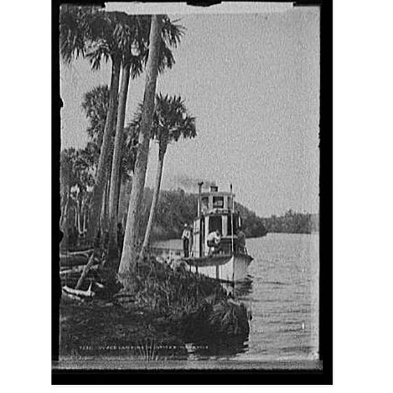 Historic Print, Wood landing in Jupiter Narrows, 16" x 20"