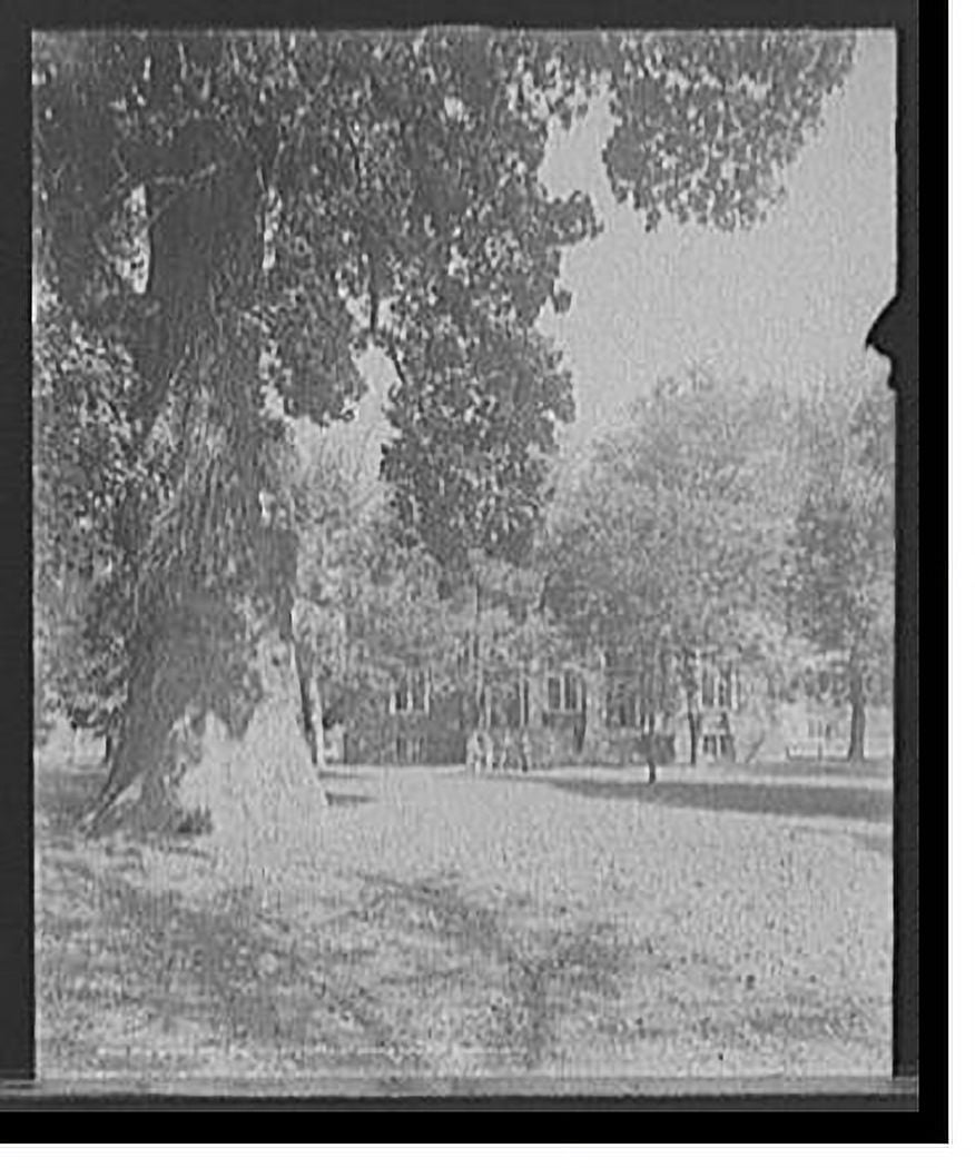 Historic Print, Woodward Hall and liberty tree, St. John's College