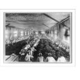 thumbnail image 1 of Historic Print, [Workers, mostly women, in tobacco factory, Manila], 18" x 24", 1 of 3