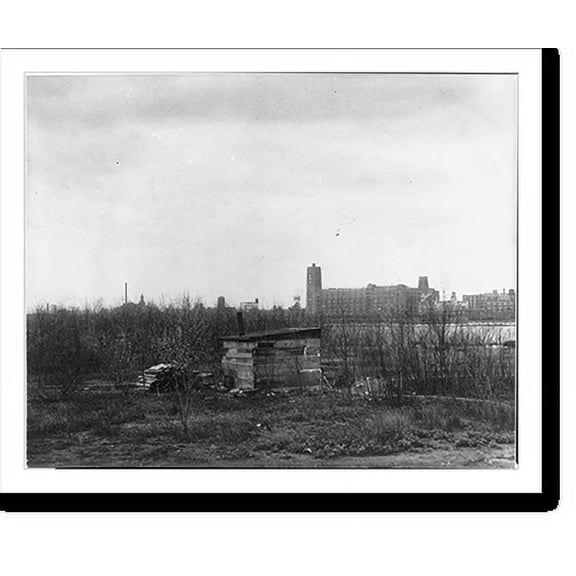 Historic Print, World's Fair site proves good home for squatters, 16" x 20"