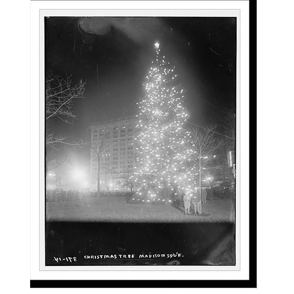 Historic Print, Xmas Tree, Madison Sq., 18" x 24"
