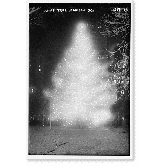 Historic Print, Xmas tree - Madison Sq., 16" x 20"