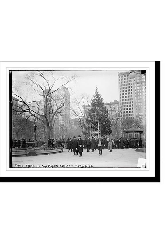 Historic Print, Xmas tree in Madison Sq. Park, N.Y.C., 16" x 20"