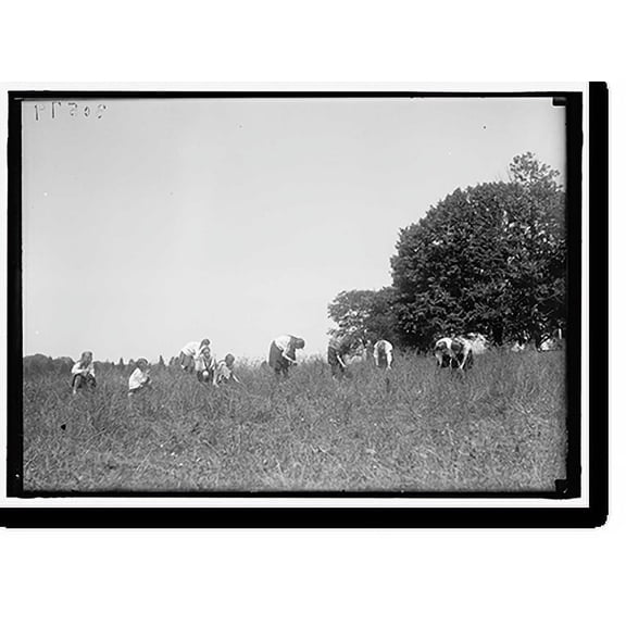 Historic Print, YOUNG WOMEN'S CHRISTIAN ASSOCIATION. SCENES AT Y.W.C.A. CAMP - 6, 18" x 24"