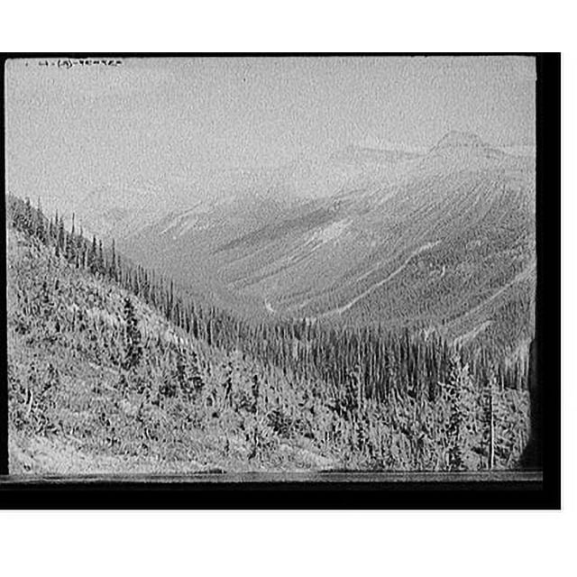 Historic Print, [Yoho Valley from upper trail, Yoho Park Reserve
