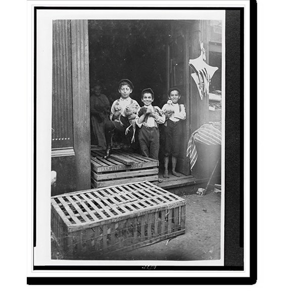 Historic Print, Young Chicken Venders, Sixth St. Market, Cincinnati. Heyman Mormer, 732 Kenyon Ave., 9 years old. Willie Mormer, 732 Kenyon Ave., 12 years old. Reubenstein, 567 W. 6th S16" x 20"