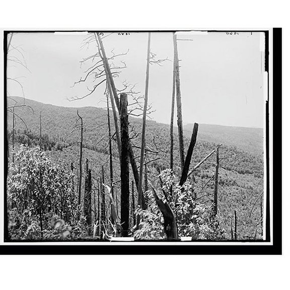 Historic Print, Zealand Valley from Mt. Echo, White Mountains - 2, 18" x 24"