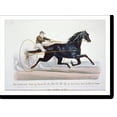 thumbnail image 1 of Historic Print, The celebrated trotting horse Camors, by the Gen. Knox, dam by Black Hawk: Won the first two heats in the contest for the $7,500 purse, at Buffalo, N.Y. August 7, 1874, 16" x 20", 1 of 3