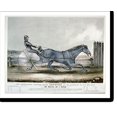 thumbnail image 1 of Historic Print, The celebrated trotting horse trustee as he appeared in his 20th mile: In his great match against time of trotting harness 20 miles in 1 hour over the union course L.I. ...18" x 24", 1 of 3