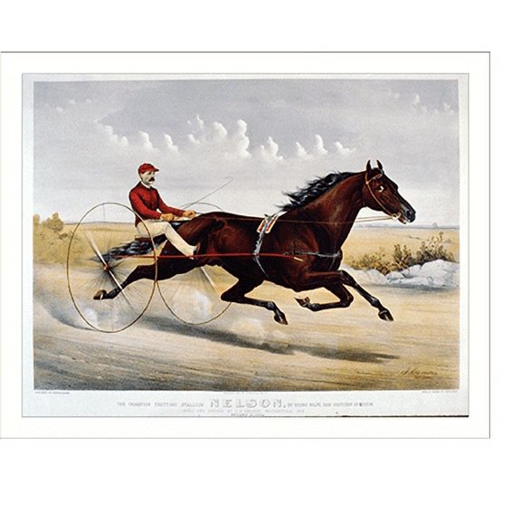 Historic Print, The champion trotting Stallion Nelson, by Young Rolfe, dam Gretchen by Gideon: Owned and driven by C.H. Nelson, Waterville, Me., 16" x 20"