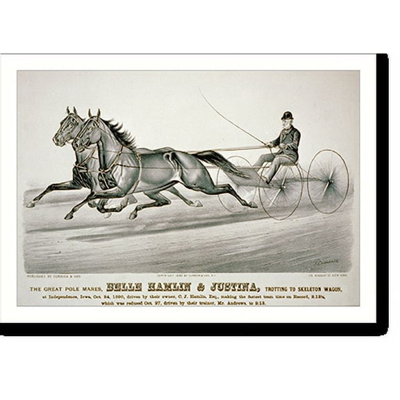 Historic Print, The great pole mares, Belle Hamlin & Justina, trotting to skeleton wagon: at Independence, Iowa, Oct. 24, 1890, driven by their owner, C.J. Hamlin, esq., making the fast…16" x 20"