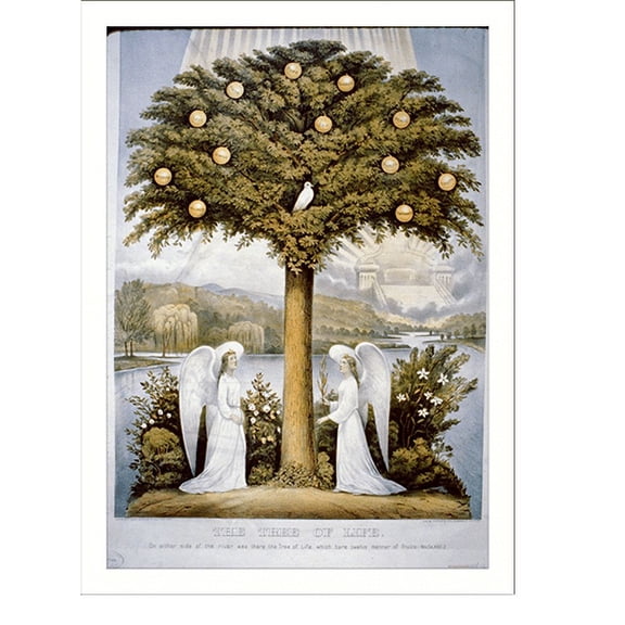 Historic Print, The tree of life: on either side of the river was there the tree of life which bare twelve manner of fruits.. Rev. ch. XXII,2 - 2, 18" x 24"